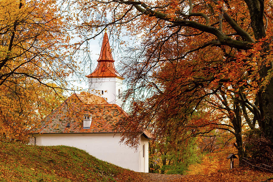 Chapel hidden by autumn forest Photograph by Viktor Wallon-Hars