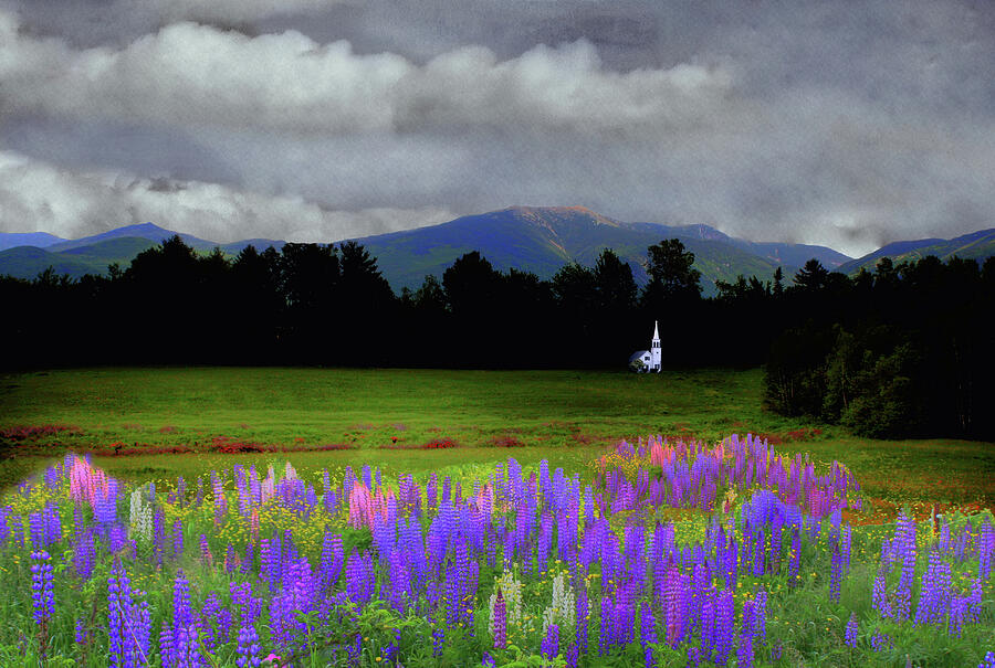 Chapel in the Lupine Mindscape Photograph by Wayne King
