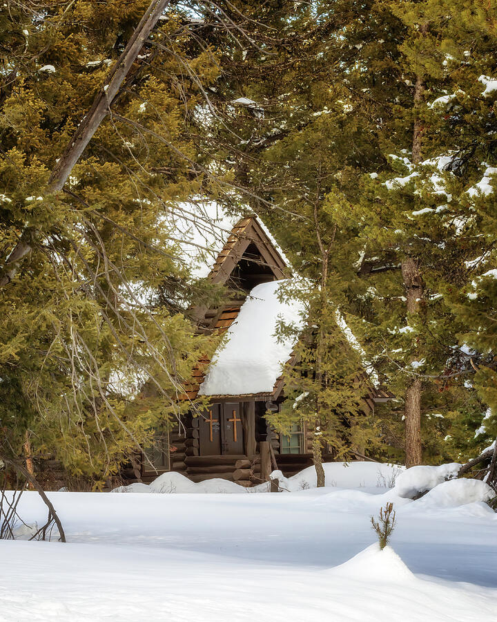 Chapel in the Woods - Grand Teton National Park Photograph by Susan Rissi Tregoning