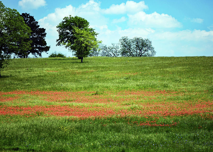Chappell Hill In Springtime Photograph