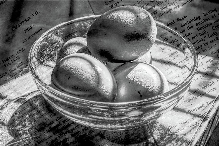 Chapter 7 Eggs Photograph by Sharon Popek