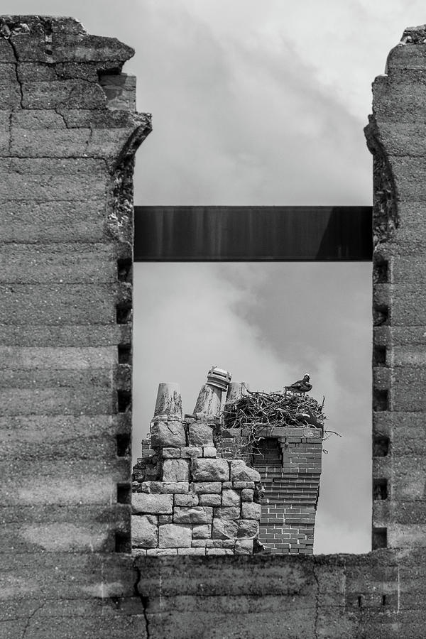 Chapter I - The Frame Photograph by Don Anderson Chapter I - The Frame Photograph by Don Anderson