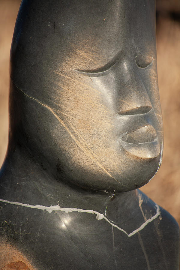 Chapungu Stone Sculpture 2 Photograph