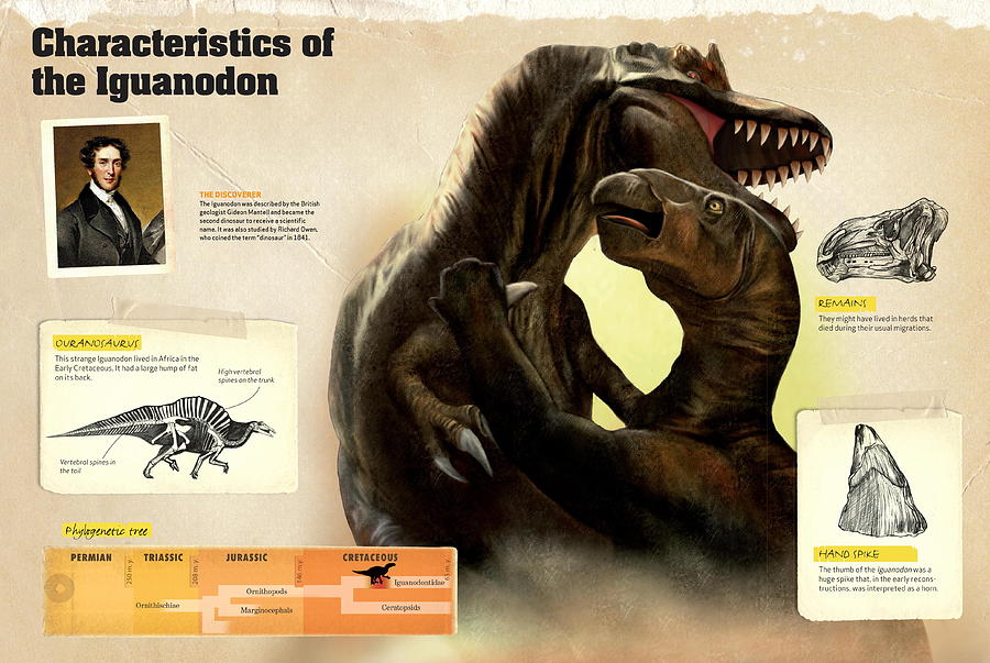 Characteristics of the Iguanodon Digital Art by Album