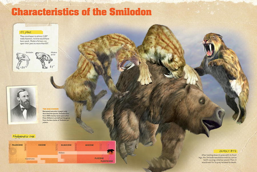 wild republic smilodon