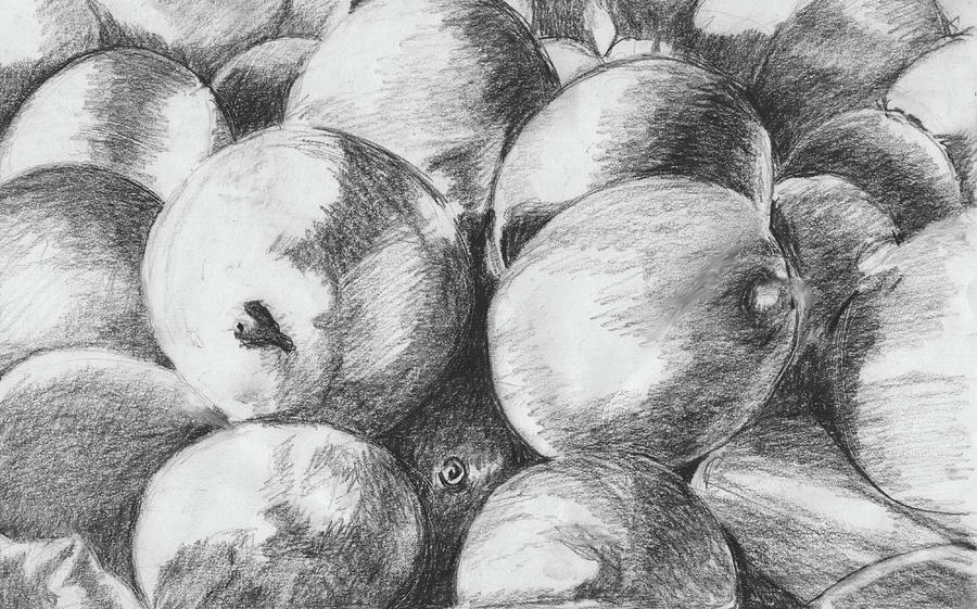 Lemon Drawing - Charcoal Drawing of Lemons by Elizabeth Adkins Lemon Drawing - Charcoal Drawing of Lemons by Elizabeth Adkins