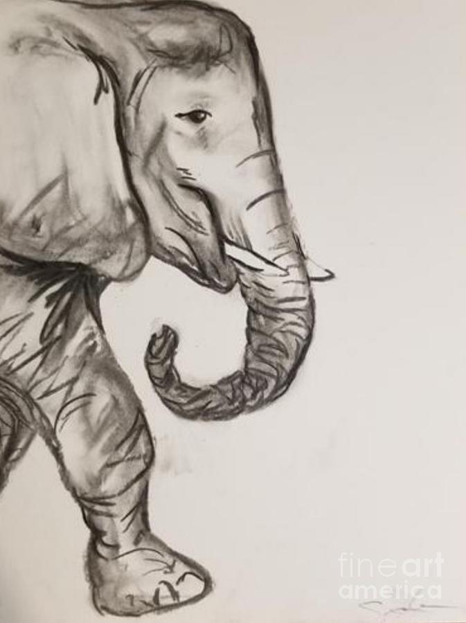 Charcoal Elephant Drawing by Expressions By Stephanie