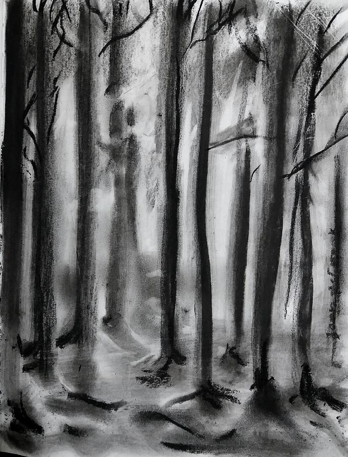 Charcoal Forest Drawing by James McCormack