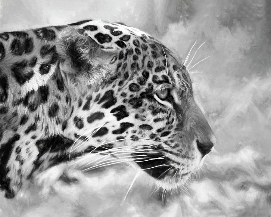 Charcoal Leopard Photograph by Karen Sirnick