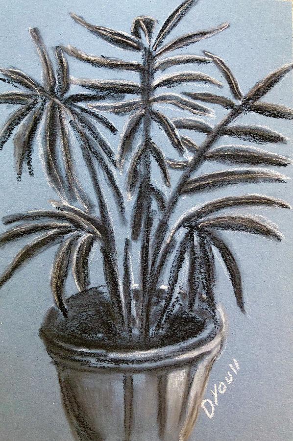 Charcoal Palm on Sea Blue Paper Drawing by Debbie Youll