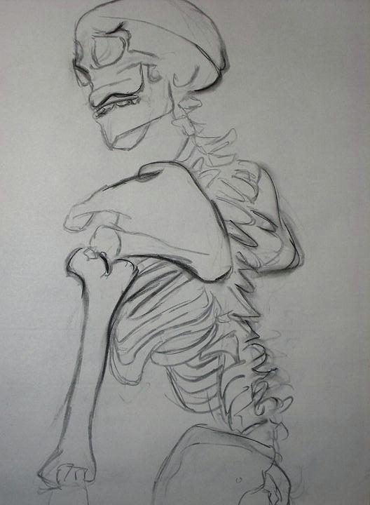 Charcoal Skeleton Drawing by Outside The Cubicle Art By Stephanie