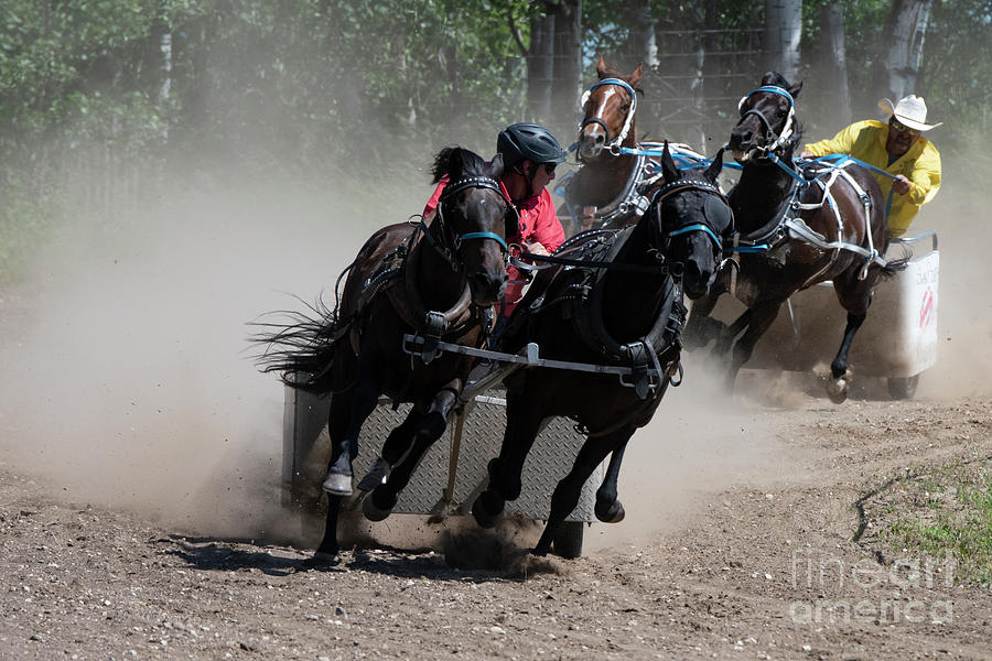 Chariot Racing Gilbert Plains Photograph by Bob Christopher Pixels