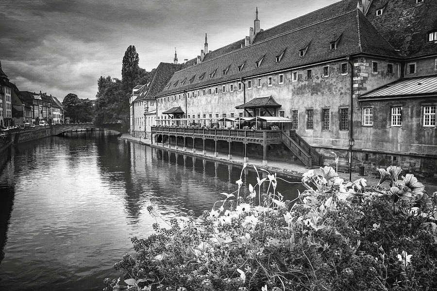 Charismatic Strasbourg France Black and White  Photograph by Carol Japp