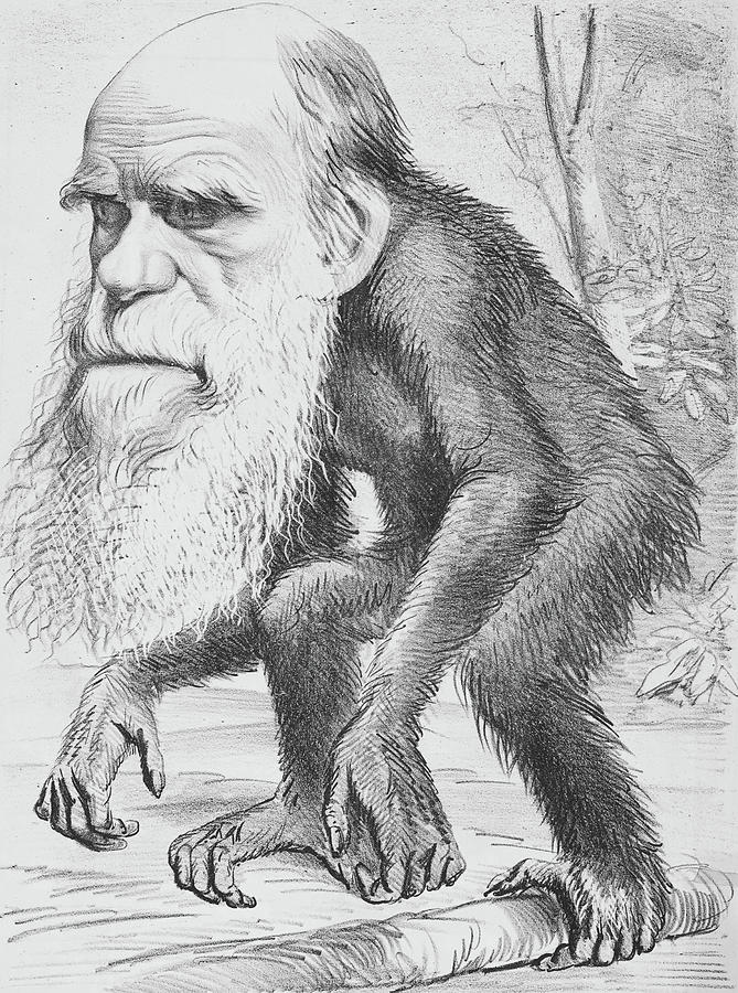 Charles Darwin As An Ape Painting