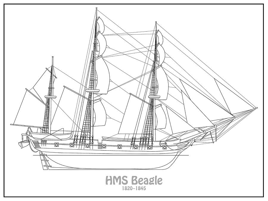 hms beagle ship