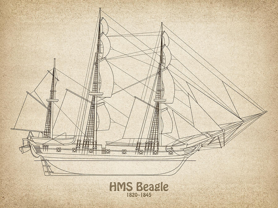 beagle ship