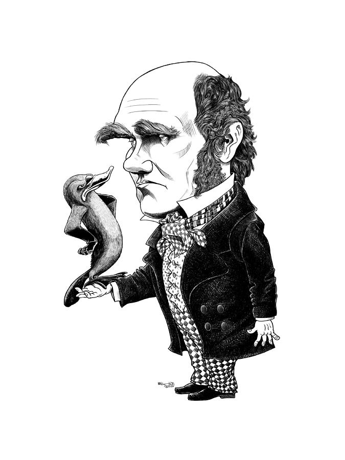 Charles Darwin Drawing by Mike Scott
