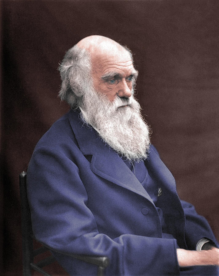 Charles Darwin Portrait - 1874 Colorized Photograph by War Is Hell Store