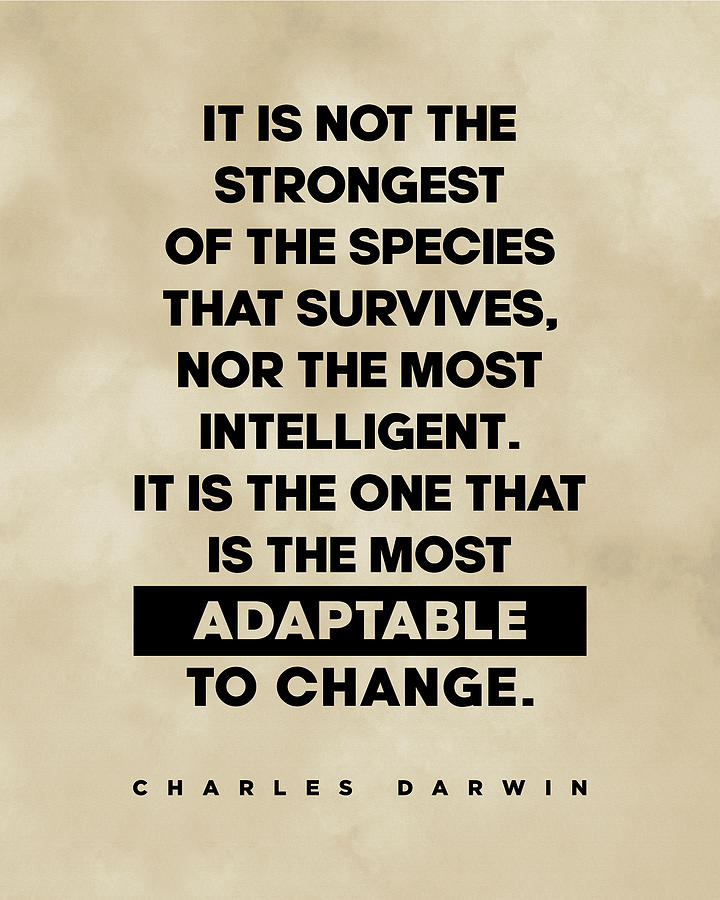 Charles Darwin Quote - Inspirational Quote - Most Adaptable to Change 2 Digital Art by Studio Grafiikka