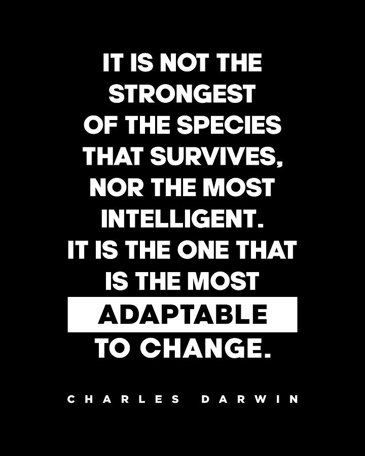 Charles Darwin Quote - Inspirational Quote - Most Adaptable to Change - Black Digital Art by Studio Grafiikka
