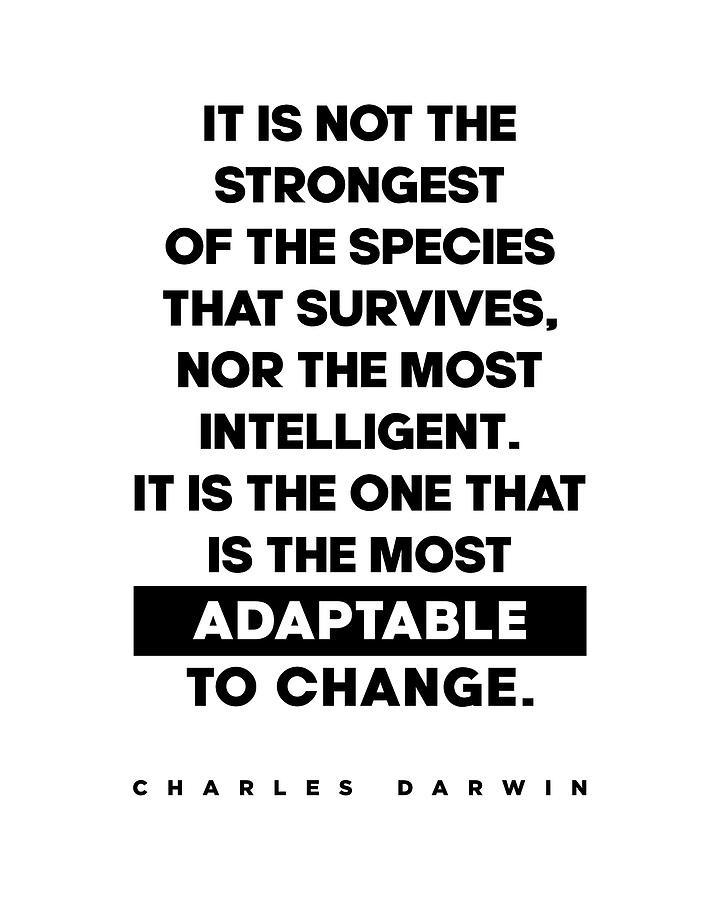 Charles Darwin Quote - Inspirational Quote - Most Adaptable to Change Digital Art by Studio Grafiikka