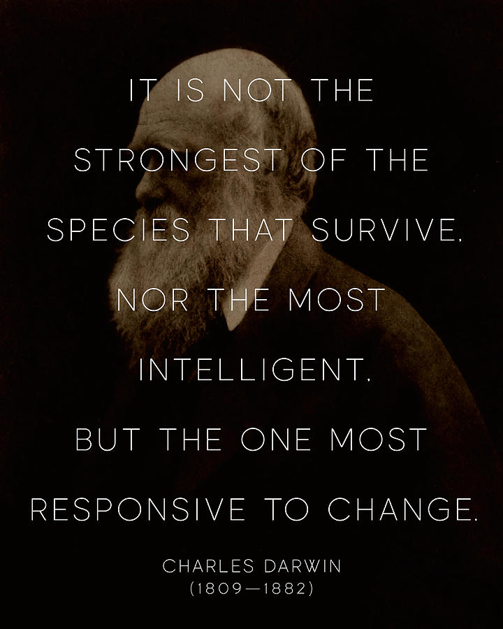 Charles Darwin Quote On Life and Change Poster Painting by Lee Carter ...