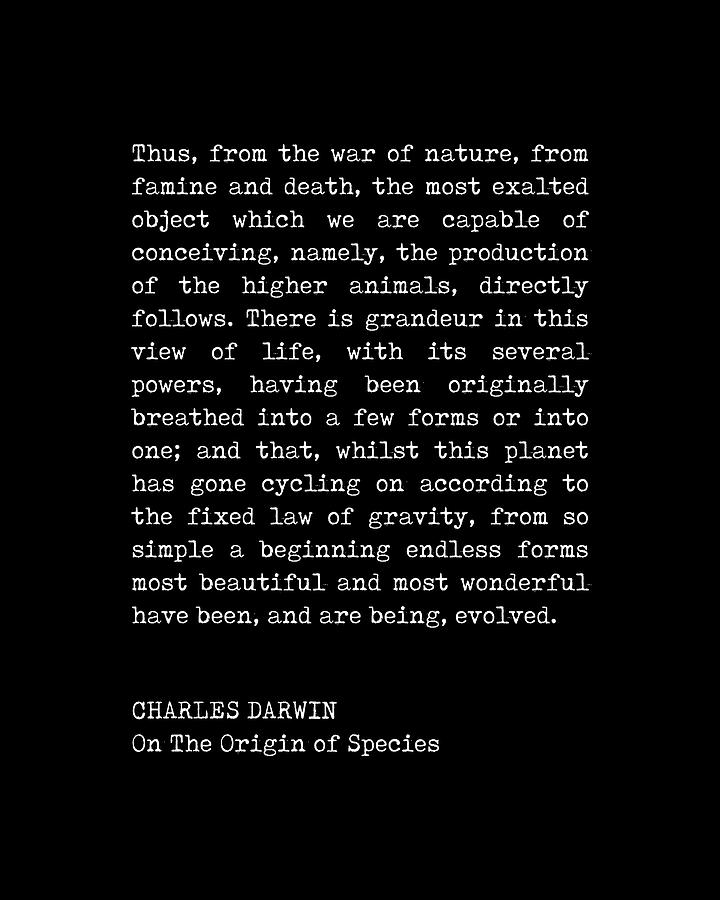 Charles Darwin Quote - On The Origin of Species - Inspiring Quotes - Typewriter - Black Digital Art by Studio Grafiikka