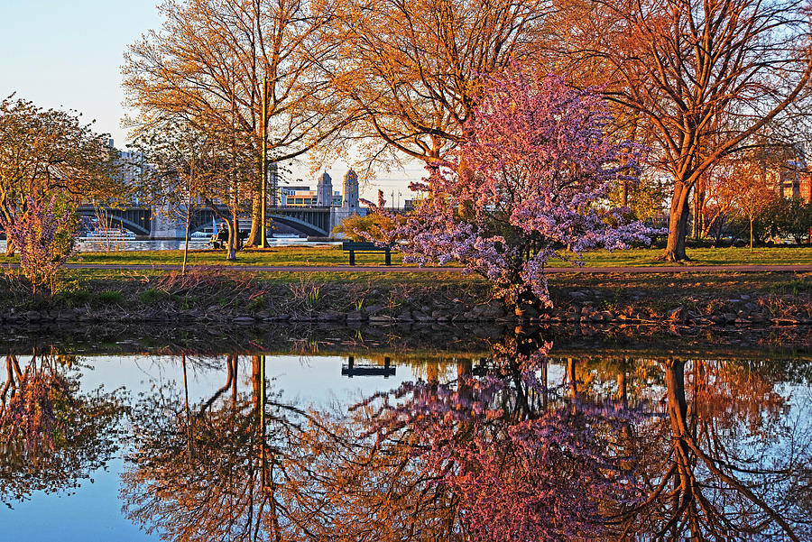 Charles River Boston Beautiful Spring Day at Sunset Reflection Photograph by Toby McGuire