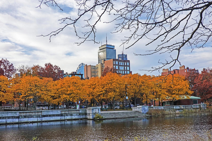 Charles River Fall Trees Boston MA Photograph by Toby McGuire