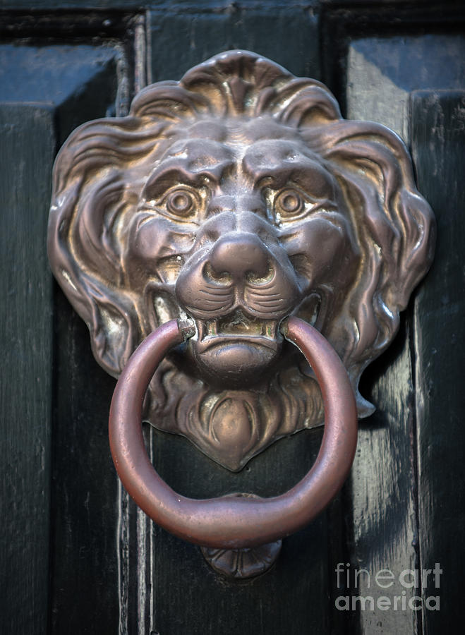Charleston - Brass Lion Door Knocker Photograph by Dale Powell