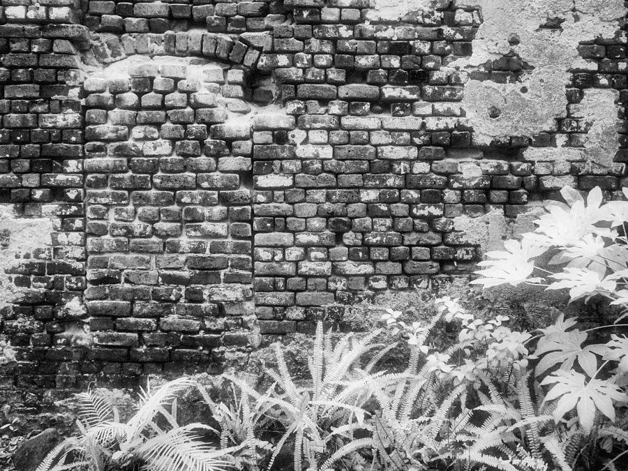 Charleston Brick Wall Photograph by Jeffrey Holbrook