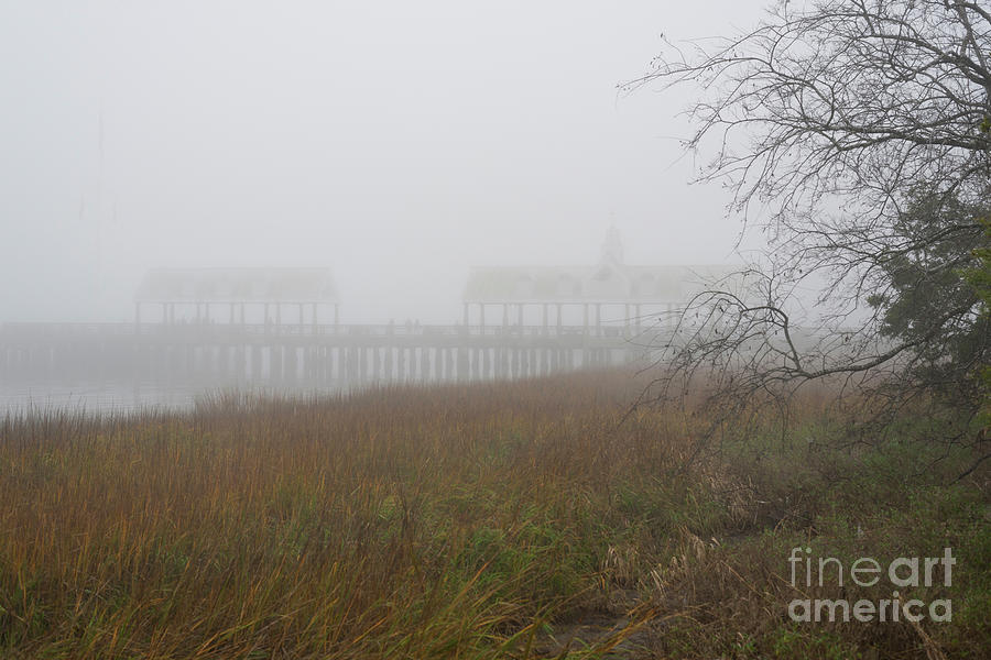 Charleston Fog - Lowcountry Morning Photograph by Dale Powell