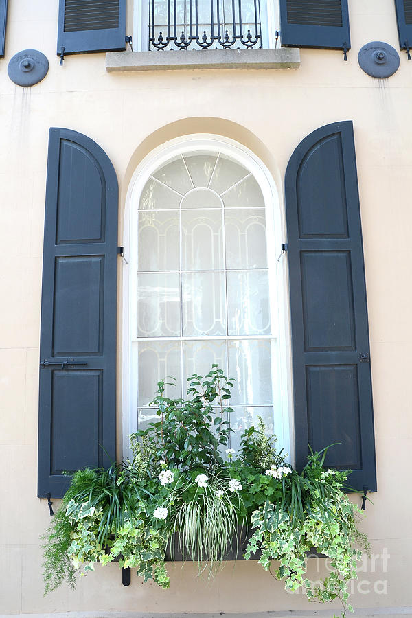 Charleston French Quarter Flower Window Boxes Blue Shutters South Carolina Flower Window Boxes Photograph by Kathy Fornal