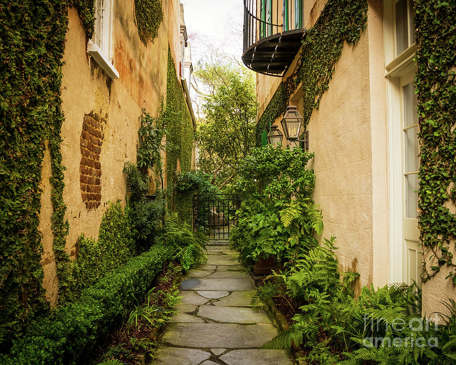 Charleston Garden Walkway - View 8 Photograph by Sturgeon Photography