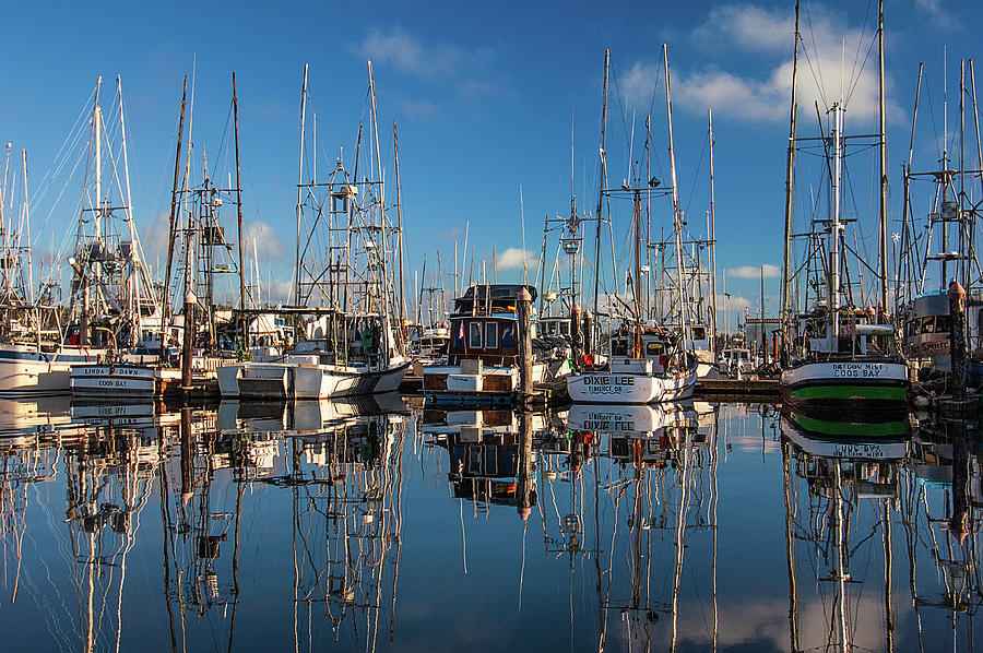 Charleston Harbor Photograph by Patrick Campbell