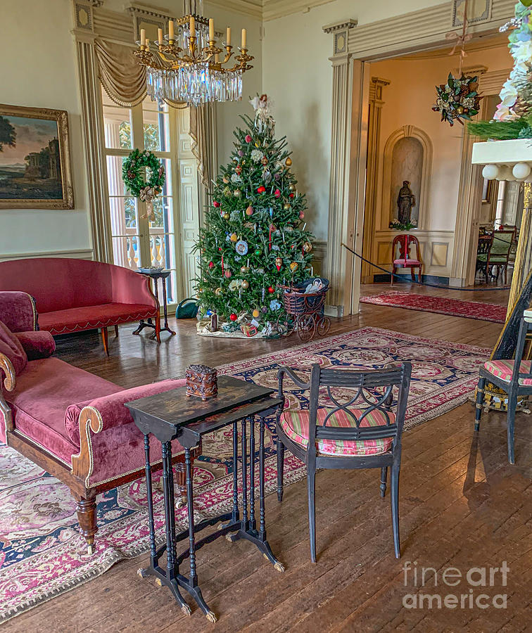 Charleston Holiday - Peek into the 1800s Photograph by Dale Powell