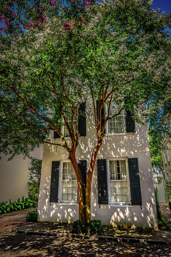 Charleston House Photograph by Bill Howard