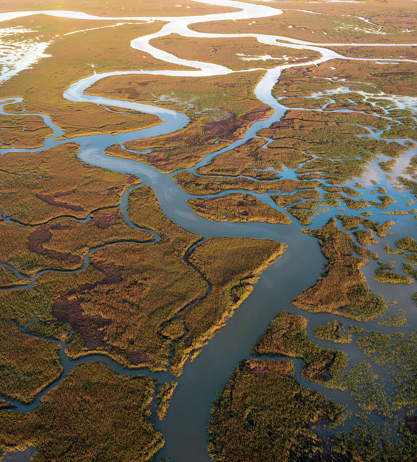 Charleston Lowcountry Creek Curves Photograph by Donnie Whitaker