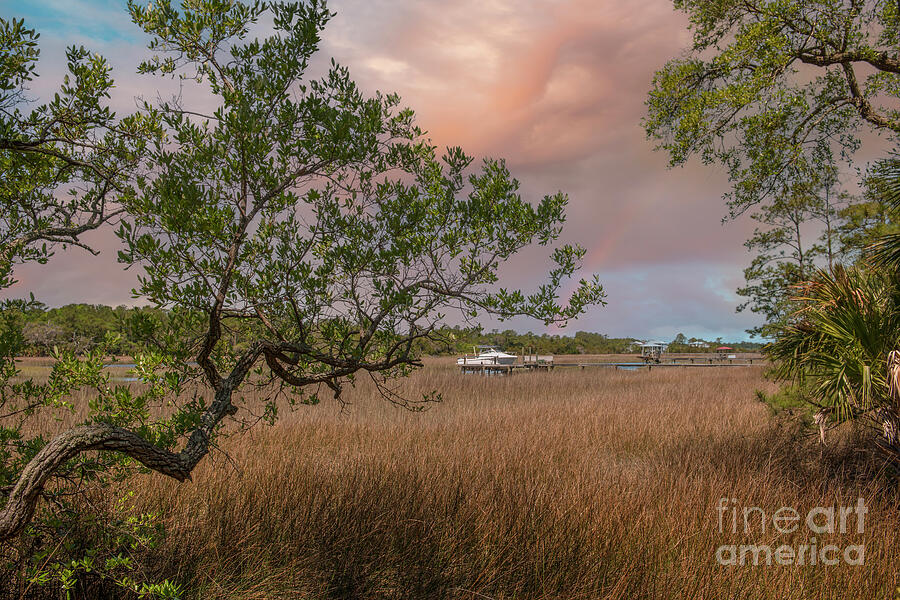 Charleston Lowcountry Salt Marsh Photograph by Dale Powell
