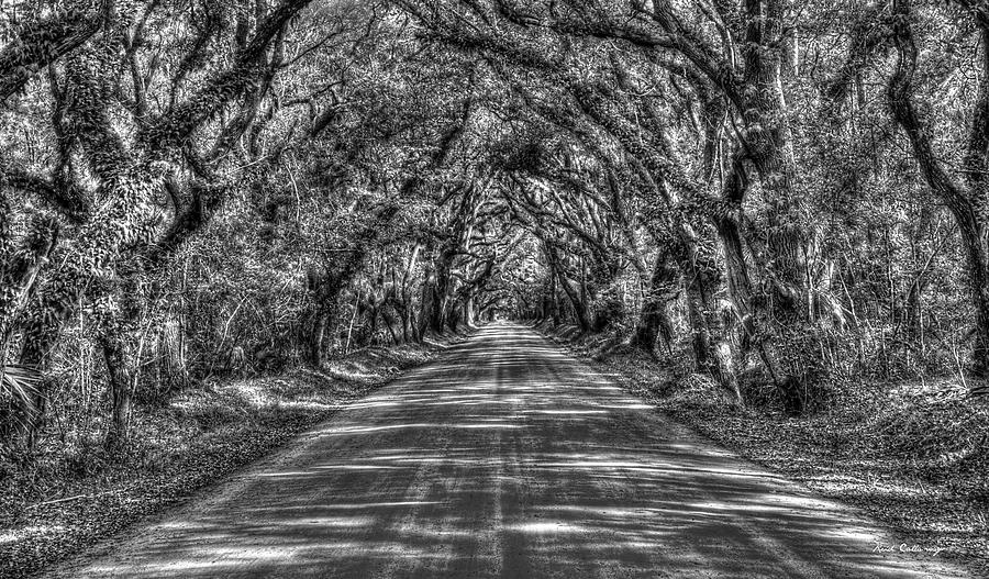 Charleston SC The Tree Tunnel Shadows B W Edisto Island Botany Bay Road South Carolina Landscape Art Photograph by Reid Callaway