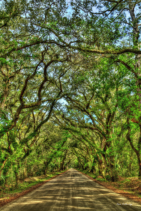 Charleston S C Tree Tunnel Shadows Of Edisto Island Botany Bay Road Landscape Art Photograph by Reid Callaway