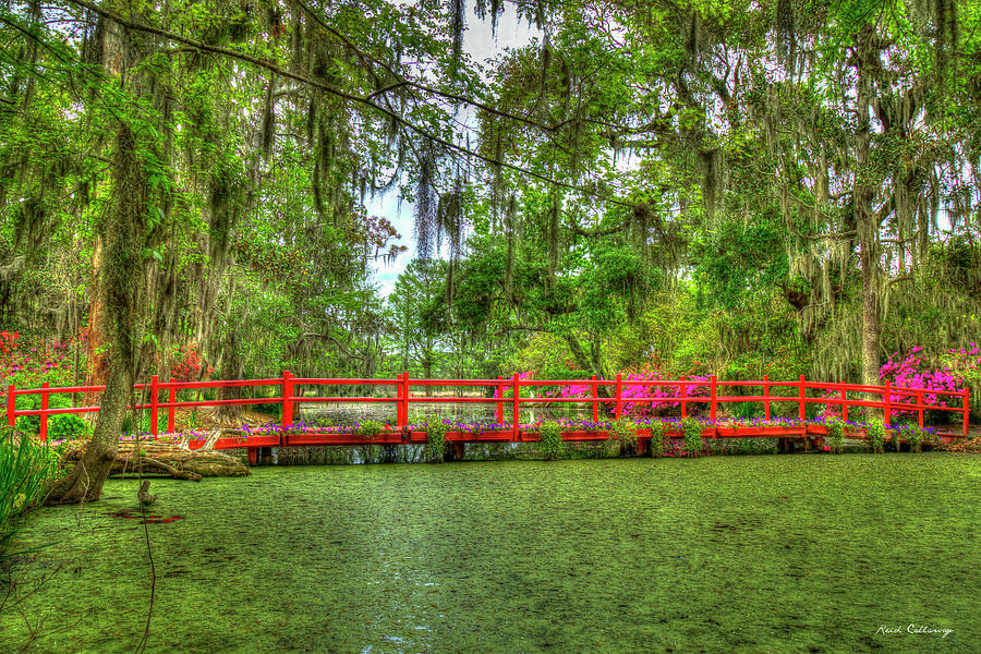 Charleston SC Magnolia Plantation and Gardens Bridge Lowcountry Landscape Architecture Art Photograph by Reid Callaway