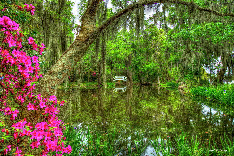 Charleston SC Magnolia Plantation and Gardens Bridge Reflections 8 Architectural Landscape Art Photograph by Reid Callaway