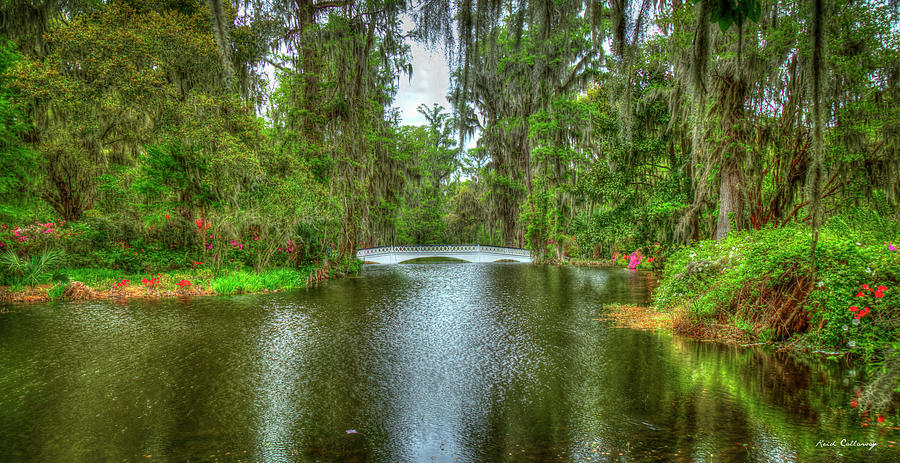 Charleston SC Magnolia Plantation Bridge Reflections Horticulture Landscape Art Photograph by Reid Callaway