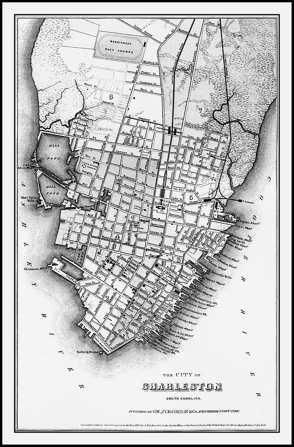 Charleston South Carolina Vintage City Map 1855 Black and White ...