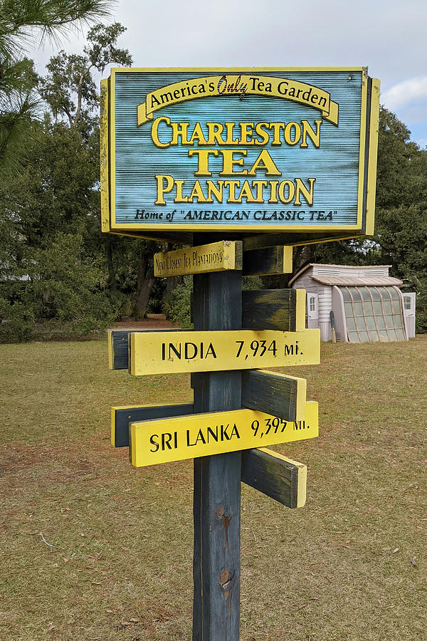Charleston Tea Plantation Sign Photograph by Jerry Griffin