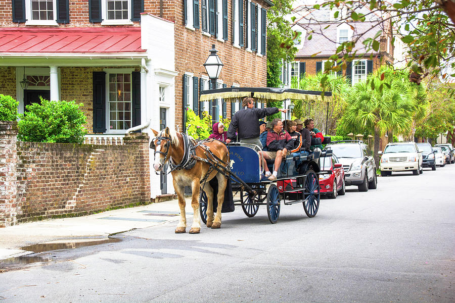 horse buggy tours charleston sc