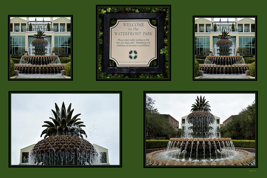 Flag Photograph - Charleston Waterfront Park Fountain by Kathy K McClellan