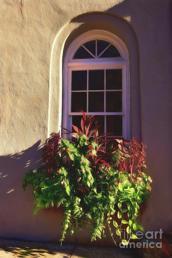 Charleston Window Box Photograph by Kathy Baccari