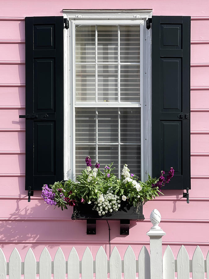Charleston Window, South Carolina Photograph by Dawna Moore Photography